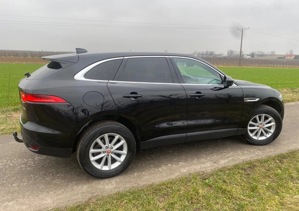 Jaguar F-Pace cena 79999 przebieg: 186000, rok produkcji 2016 z Staszów małe 704
